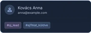 sellwitmi ai chatbot példa